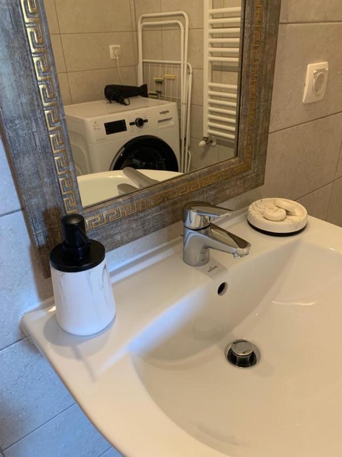 Smart Chic Apartment Brasov